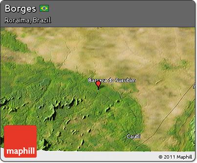 Satellite 3D Map of Borges