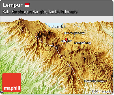 Physical 3D Map of Lempur