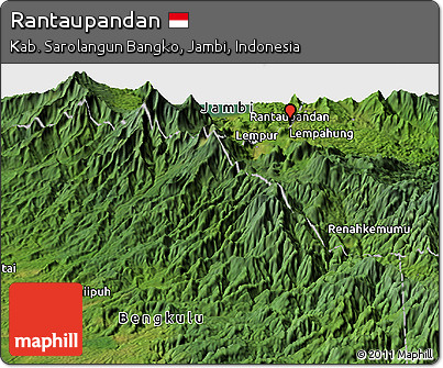 Satellite Panoramic Map of Rantaupandan