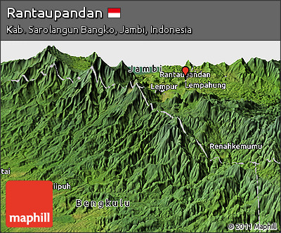 Satellite Panoramic Map of Rantaupandan