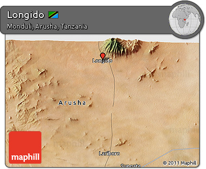 Satellite 3D Map of Longido