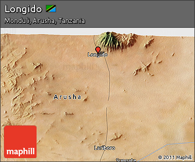 Satellite 3D Map of Longido