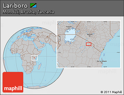 Gray Location Map of Lariboro