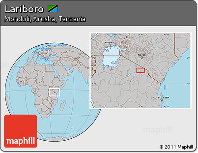 Gray Location Map of Lariboro