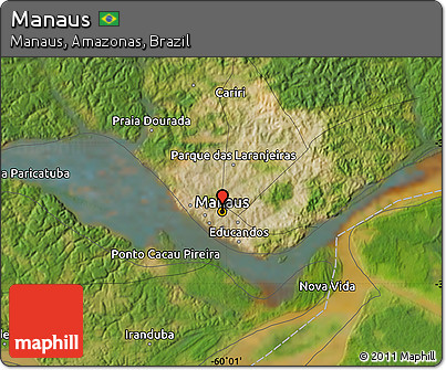 Satellite Map of Manaus