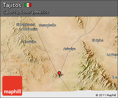 Satellite 3D Map of Tajitos