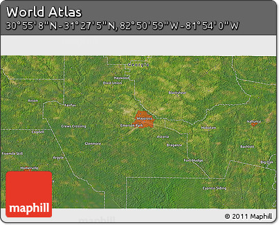 Satellite 3D Map of the Area around 31° 11' 6" N, 82° 22' 30" W