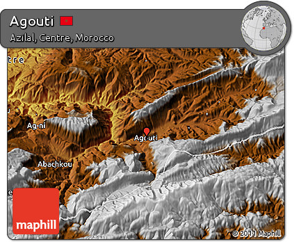 Physical 3D Map of Agouti