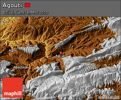 Physical 3D Map of Agouti