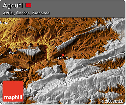 Physical 3D Map of Agouti
