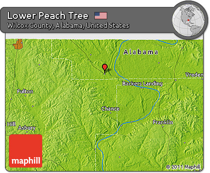 Physical 3D Map of Lower Peach Tree