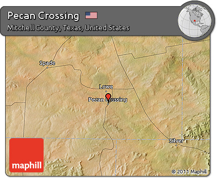 Satellite 3D Map of Pecan Crossing