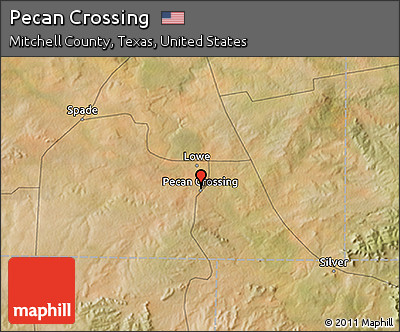 Satellite 3D Map of Pecan Crossing
