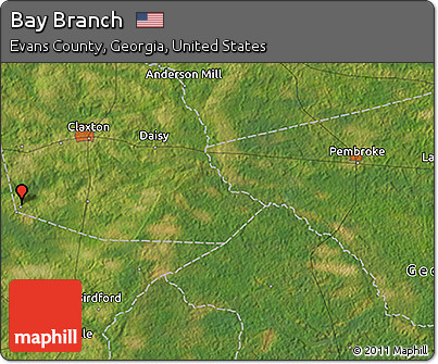 Satellite 3D Map of Bay Branch