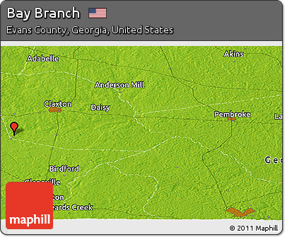 Physical Panoramic Map of Bay Branch