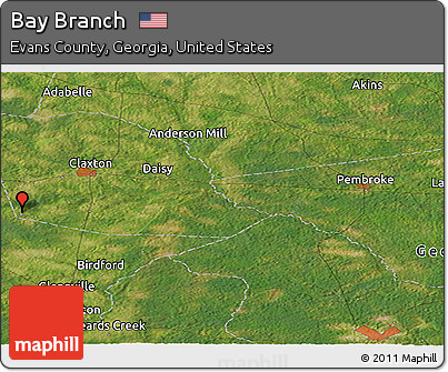 Satellite Panoramic Map of Bay Branch