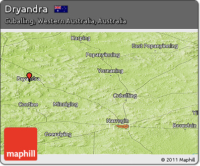 Physical Panoramic Map of Dryandra
