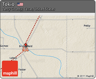 Shaded Relief 3D Map of Tokio