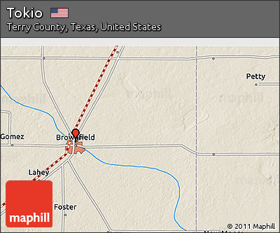 Shaded Relief 3D Map of Tokio
