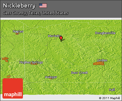 Physical Panoramic Map of Nickleberry