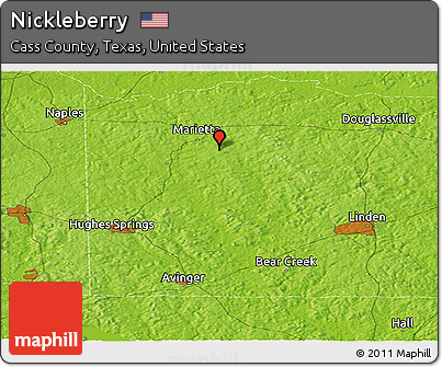 Physical Panoramic Map of Nickleberry
