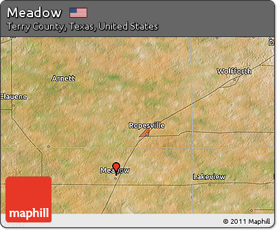 Satellite 3D Map of Meadow