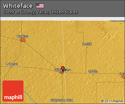 Physical 3D Map of Whiteface
