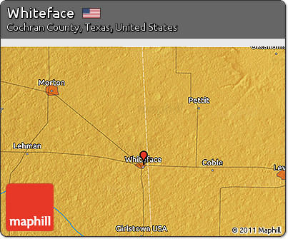 Physical 3D Map of Whiteface