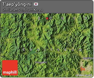 Satellite Map of T'aep'yŏng-ni