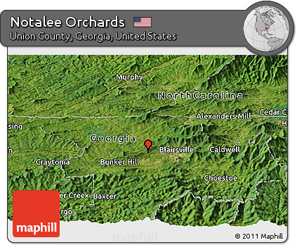 Satellite Panoramic Map of Notalee Orchards