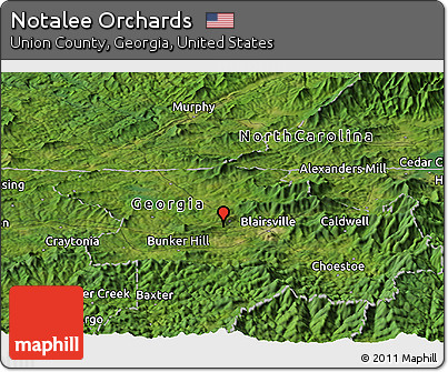 Satellite Panoramic Map of Notalee Orchards