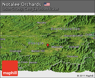 Satellite Panoramic Map of Notalee Orchards