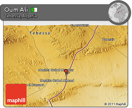 Physical 3D Map of Oum Ali
