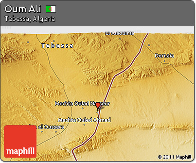 Physical 3D Map of Oum Ali