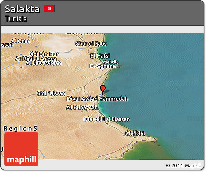 Satellite Panoramic Map of Salakta