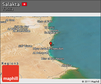 Satellite Panoramic Map of Salakta