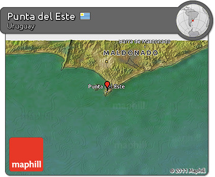 Satellite 3D Map of Punta Del Este