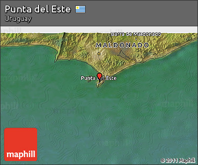Satellite 3D Map of Punta Del Este