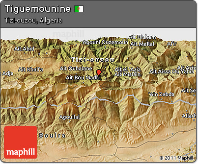 Satellite 3D Map of Tiguemounine