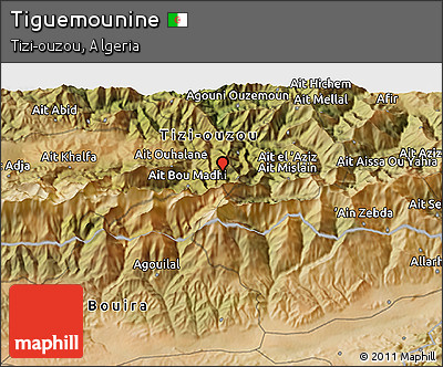 Satellite 3D Map of Tiguemounine