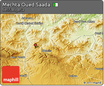 Physical 3D Map of Mechta Oued Saada