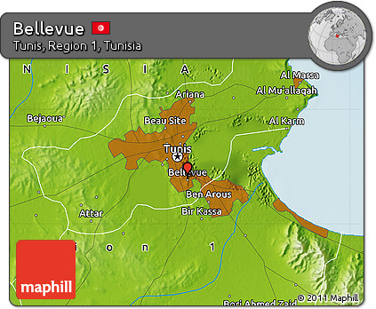 Physical Map of Bellevue