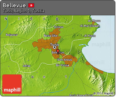 Physical Map of Bellevue