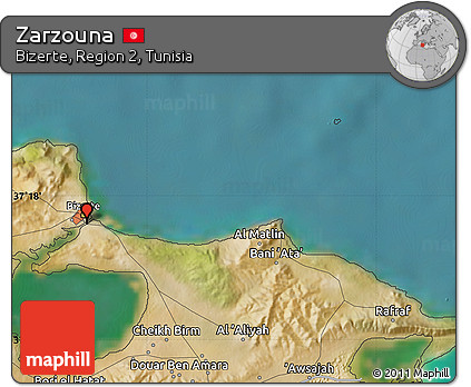 Satellite Map of Zarzouna