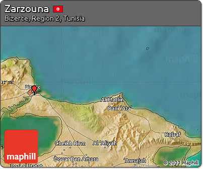 Satellite Map of Zarzouna