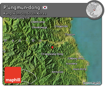 Satellite Map of P'ungmun-dong