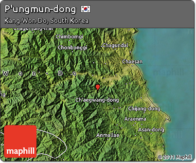 Satellite Map of P'ungmun-dong