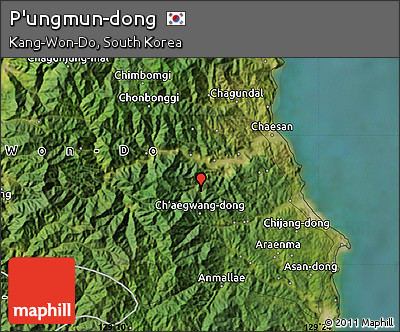 Satellite Map of P'ungmun-dong