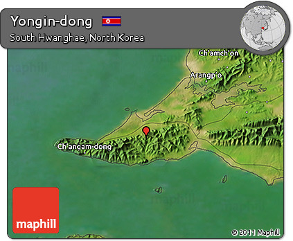 Satellite 3D Map of Yongin-dong