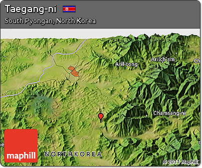 Satellite 3D Map of Taegang-ni